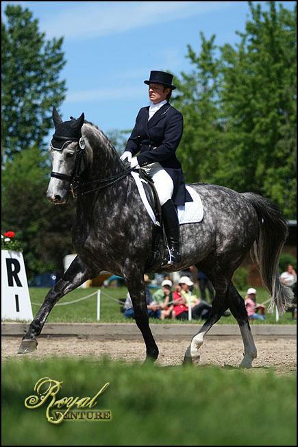 Royal Venture / EQuinka 3