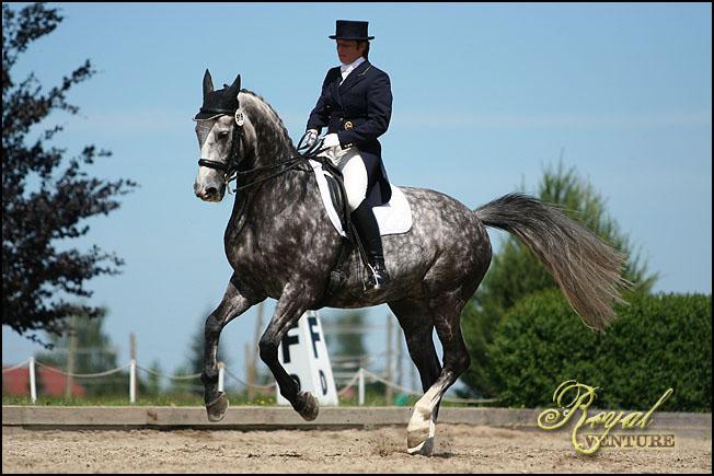 Royal Venture / EQuinka 7