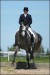 Royal Venture / EQuinka 2