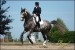 Royal Venture / EQuinka 7